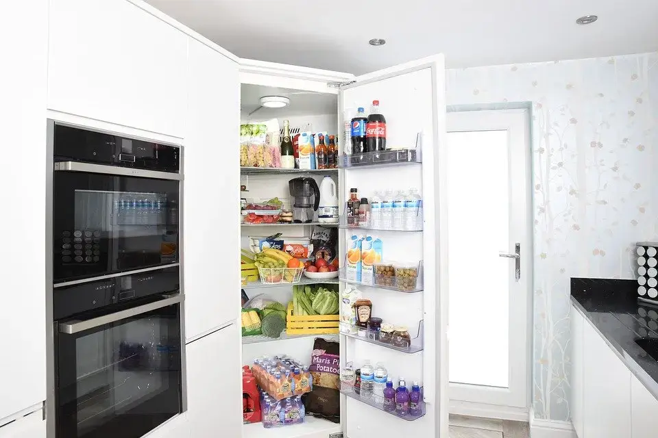 Subzero -Refrigerator -Repair--in-Denver-Colorado-Subzero-Refrigerator-Repair-2037750-image